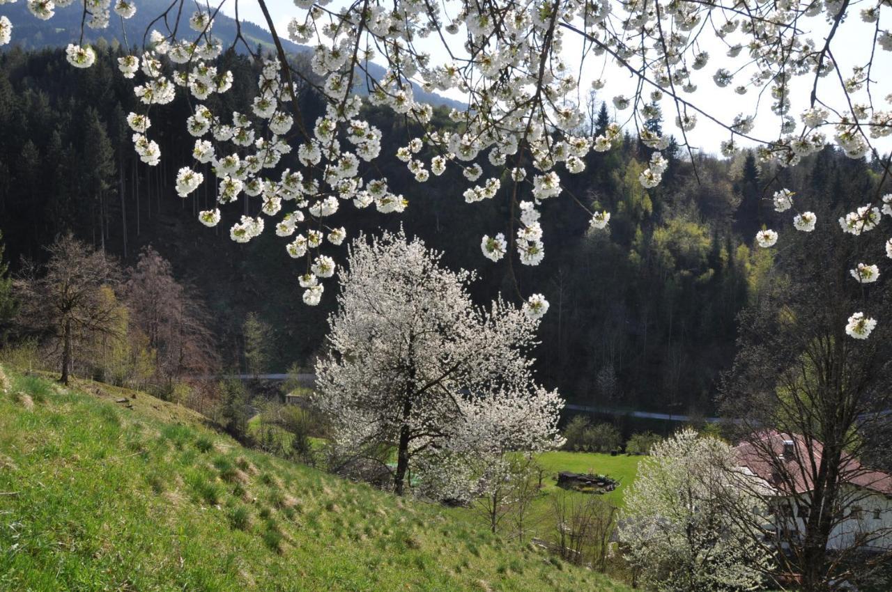 Gaestehaus Pension Edelweiss Kolsass Habitación foto